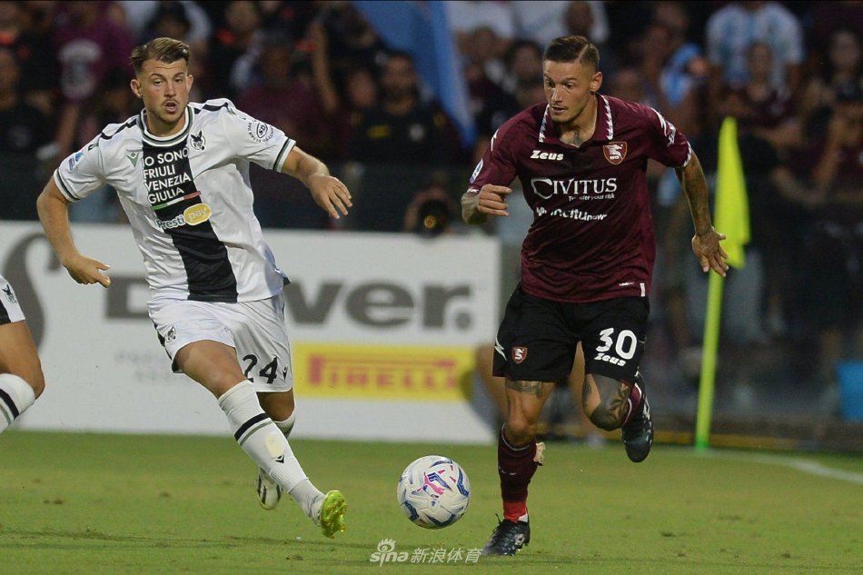 无疑是他们 无疑是他们